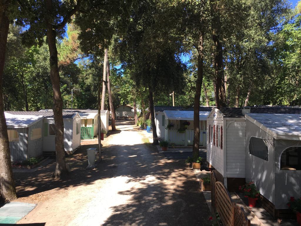 Camping Les Chenes Verts Meschers-sur-Gironde Exterior foto